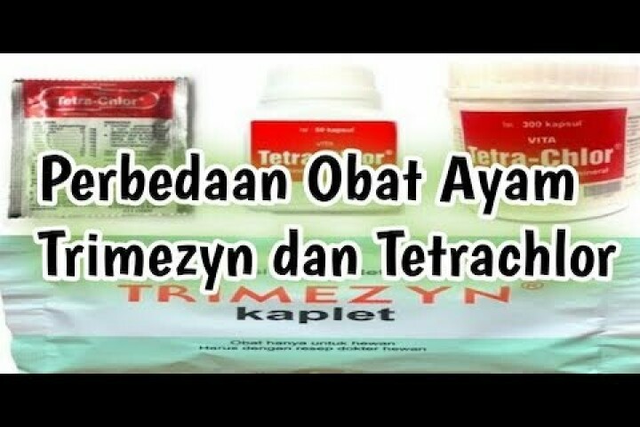 [Video] Perbedaan Trymezin dan Tetra-Chlor - MerpatiID